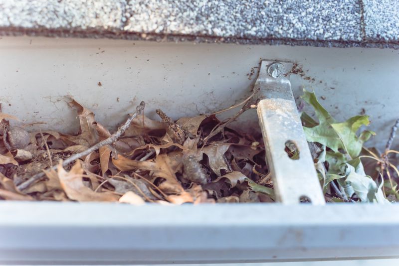 Clogged Gutters