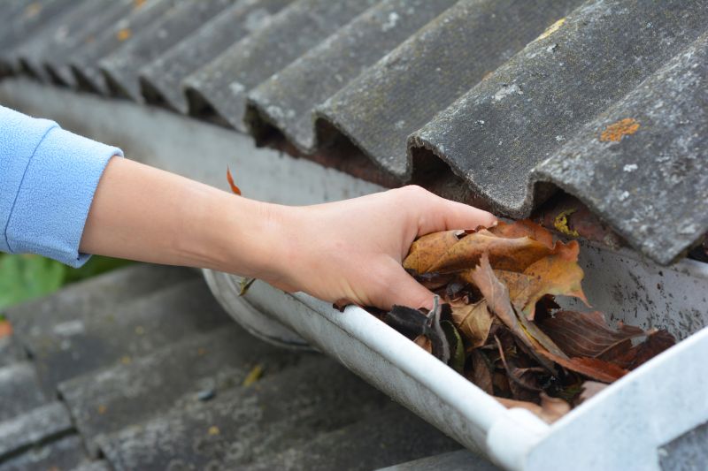 Gutter Cleaning